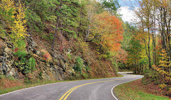 Lakeview Drive
