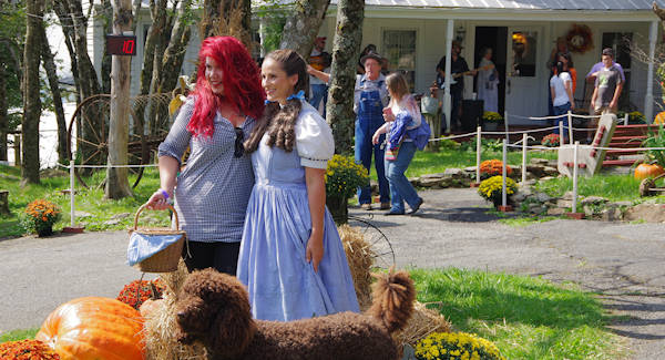 Dorothy at Land of Oz