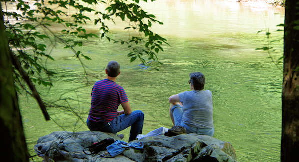 Laurel River Trail