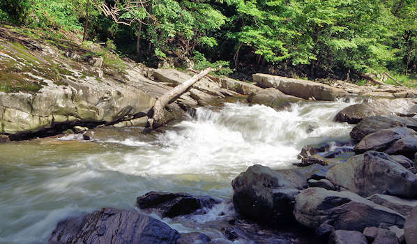 Laurel River Trail