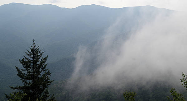 Little Butt Mountain NC