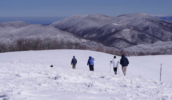 Max Patch
