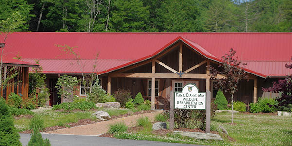 May Wildlife Center