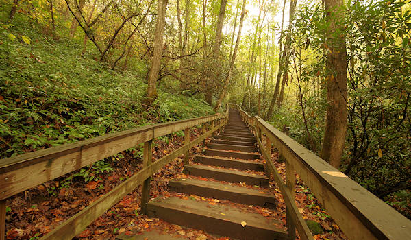 Mingo Falls NC Stairs