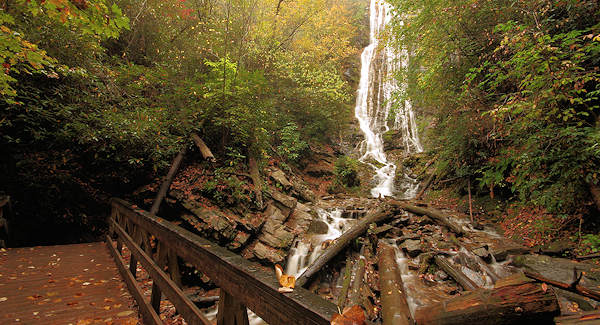 Mingo Falls NC
