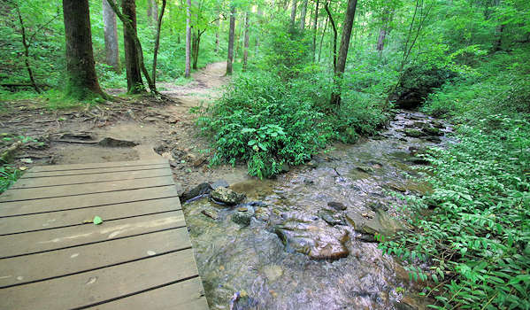 Moore Cove Falls Hiking Trail