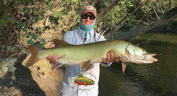 Musky Fishing Trips