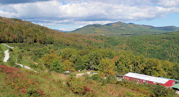 Orchard at Altapass