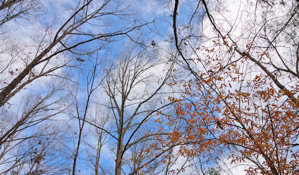 Overmountain Victory National Historic Trail