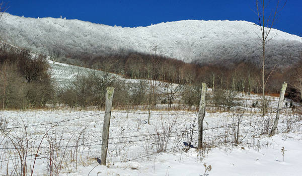 Roan Mountain NC Scenic Drive