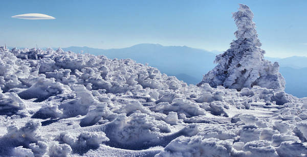 Roan Mountain NC Snow Appalachian Trail
