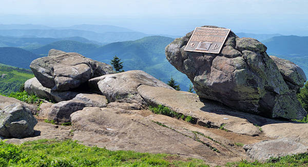 Roan Mountain Grassy Ridge