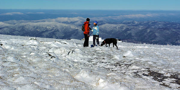 Roan Mountain Hike Snow