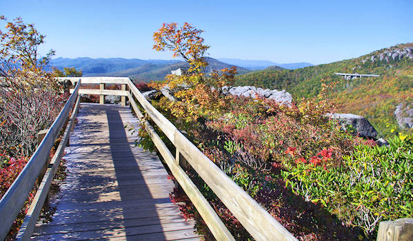 Rough Ridge Boardwalk