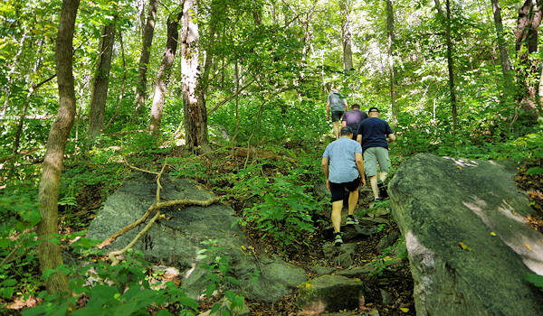 Rumbling Bald Hiking Trail
