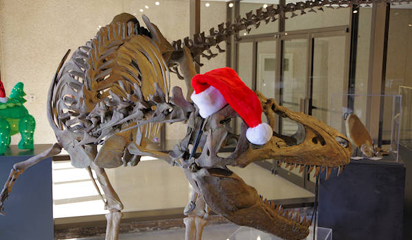 Asheville Museum of Science Dinosaur Fossil