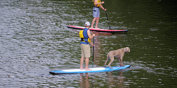 Stand Up Paddleboard