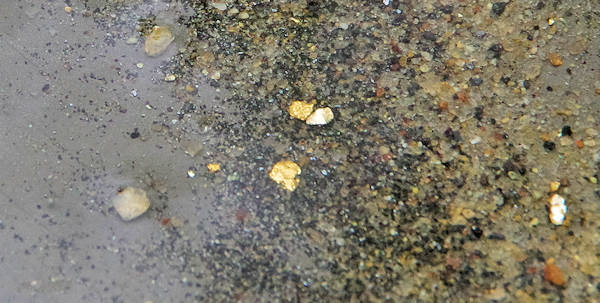 Thermal City Gold Flakes