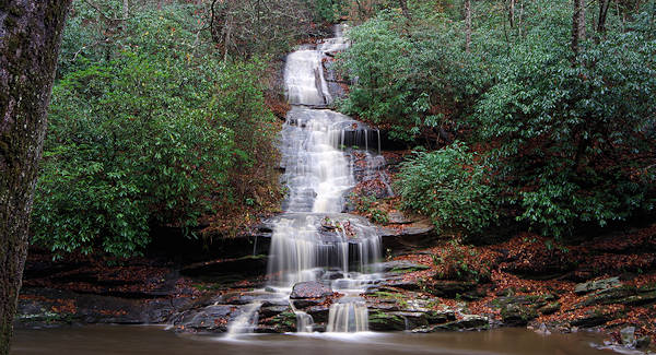 Tom Branch Falls