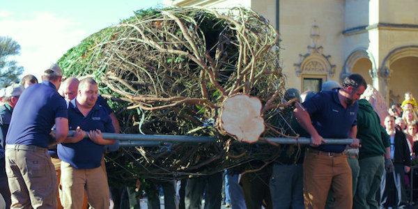 Christmas Tree Arrival at Biltmore