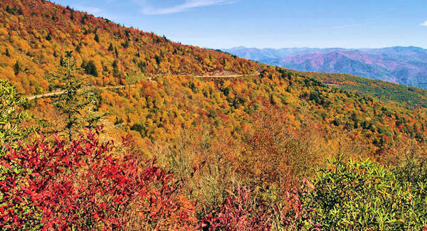 Waterrock Knob, Blue Ridge Parkway