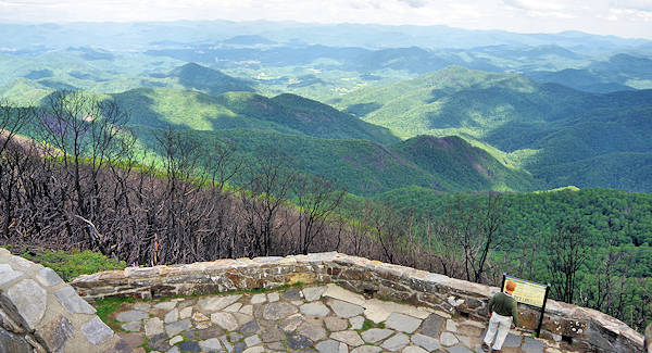 Wayah Bald, NC