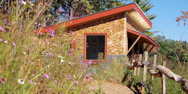 Honey Bee Observatory