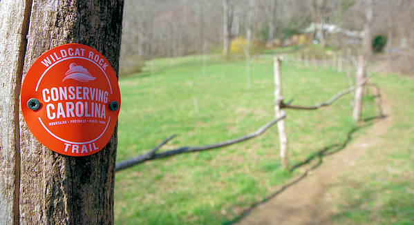 Wildcat Rock Trail, Conserving Carolina