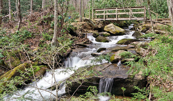 Wildcat Rock Trail