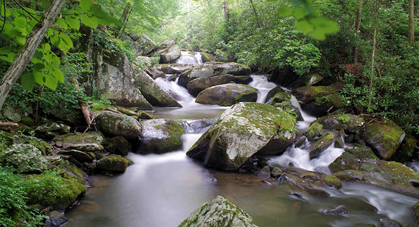 Yellow Creek NC