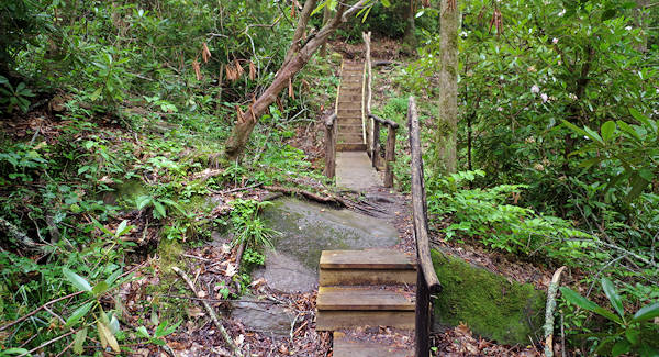 Yellow Creek Falls Hike NC