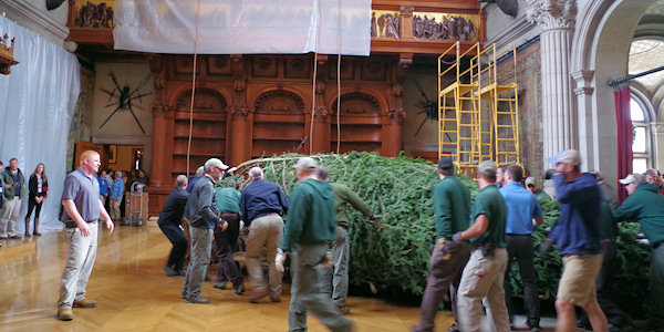 Biltmore Christmas Tree Raising