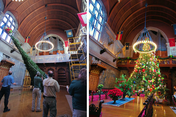 Biltmore Christmas Tree Raising
