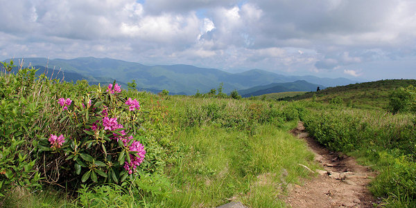 Black Balsam Knob