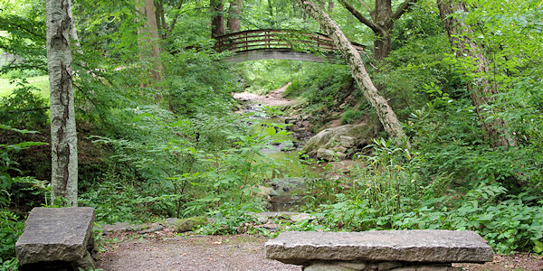 Botanical Gardens of Asheville