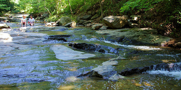 Botanical Gardens of Asheville 