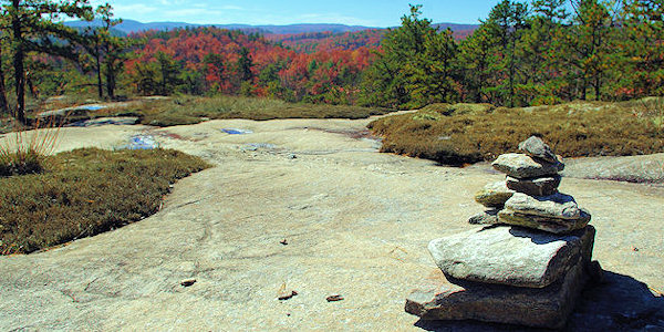 Dupont Forest Cedar Rock