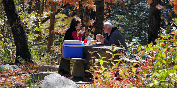 Forest Heritage Scenic Byway