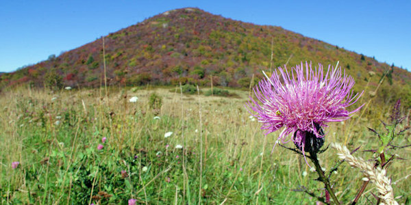 Sam Knob, NC