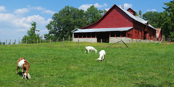 Carl Sandburg Home