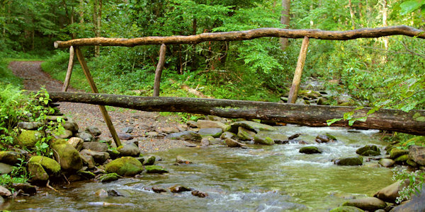 Hiking in the Great Smoky Mountains