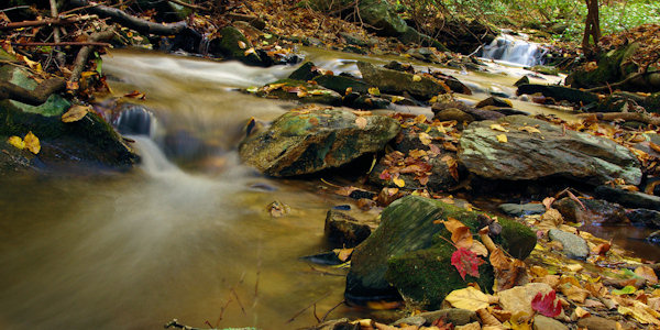 Tom's Creek Falls