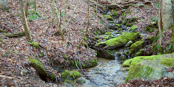 Trombatore Trail to Blue Ridge Pastures