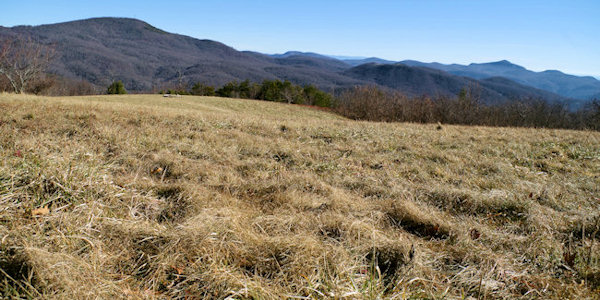 Trombatore Trail to Blue Ridge Pastures