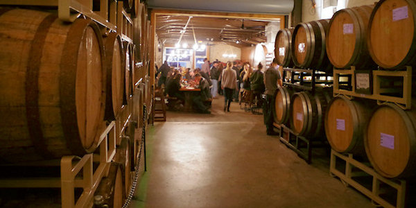 Wicked Weed