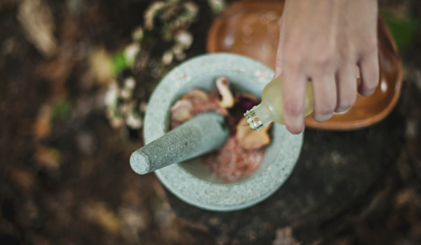 Herbalism Asheville Community Yoga 