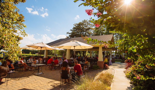 Burnshirt Vineyards Hendersonville Wineries 