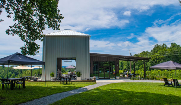 Marked Tree Vineyard Hendersonville