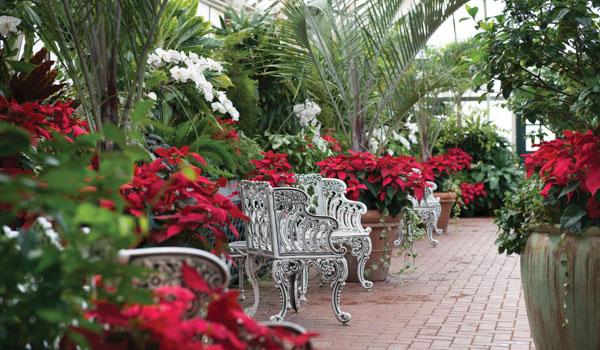 Christmas at Biltmore