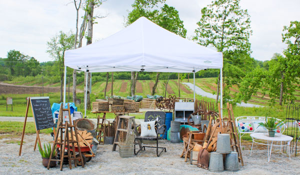Garden Jubilee Hendersonville